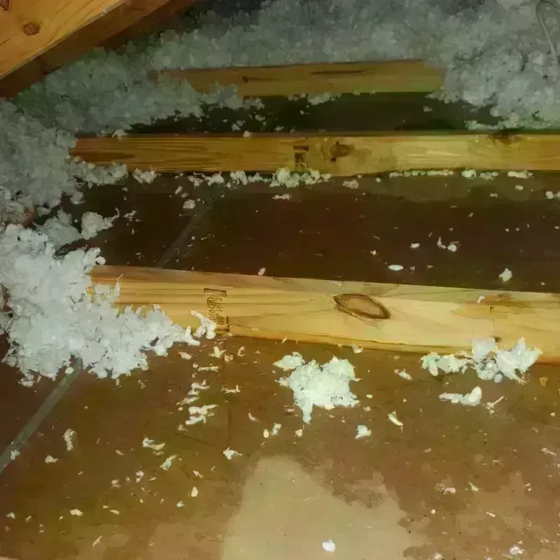 Attic Water Damage in Bowling Green, OH