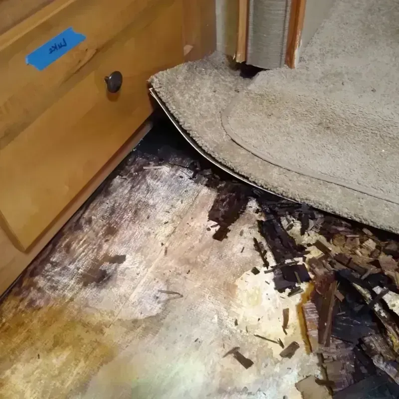 Wood Floor Water Damage in Bowling Green, OH